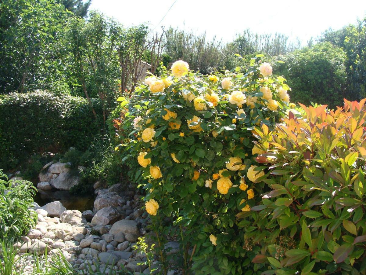 Charmante Maison De Village Cucuron Dış mekan fotoğraf